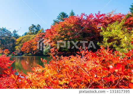 輕井澤、雲場池（秋季） 131817395