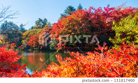 Karuizawa, Kumoba Pond (Autumn) 131817400