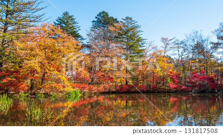 Karuizawa, Kumoba Pond (Autumn) 131817508