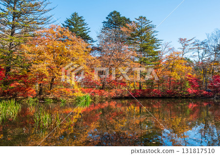輕井澤、雲場池(秋季) 輕井澤、雲場池(秋季) 131817510