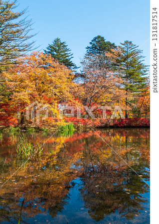 Karuizawa, Kumoba Pond (Autumn) Karuizawa, Kumoba Pond (Autumn) 131817514