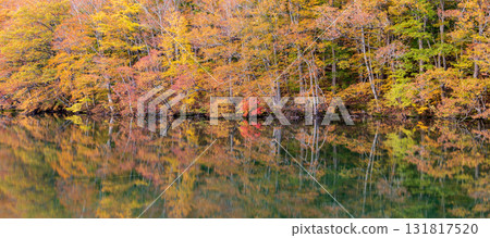 "Aomori Prefecture" Beautiful scenery of Tsutanuma Pond with autumn leaves 131817520