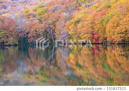 「青森郡」蔦沼的紅葉美景 「青森郡」蔦沼的紅葉美景 131817521