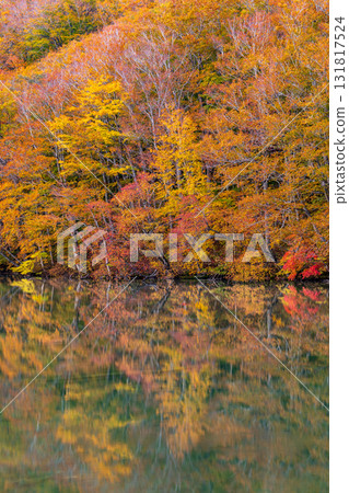 「青森郡」蔦沼的紅葉美景 「青森郡」蔦沼的紅葉美景 131817524