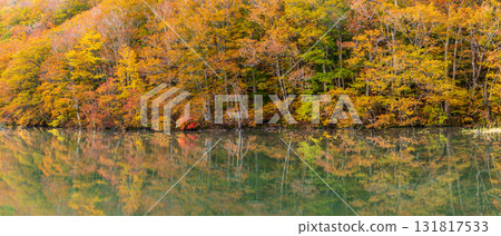 "Aomori Prefecture" Beautiful scenery of Tsutanuma Pond with autumn leaves 131817533