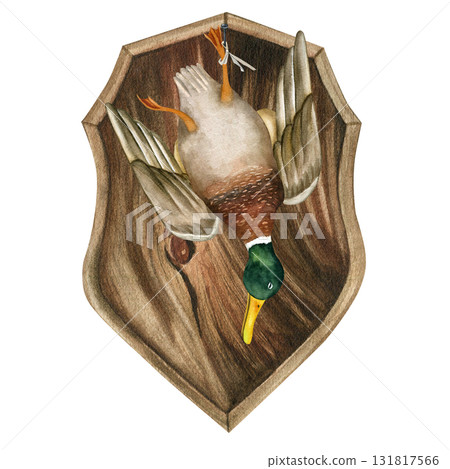 Duck, male, hangs from a nail on an oak shield. Hand-drawn watercolor illustration isolated on a white background Duck, male, hangs from a nail on an oak shield. Hand-drawn watercolor illustration isolated on a white background 131817566