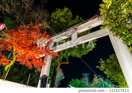 Large torii gate at Chichibu Shrine, Saitama 131817613