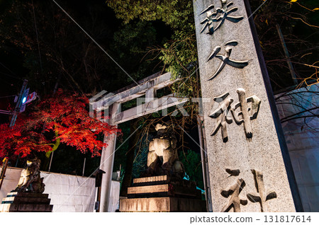 Large torii gate at Chichibu Shrine, Saitama Large torii gate at Chichibu Shrine, Saitama 131817614