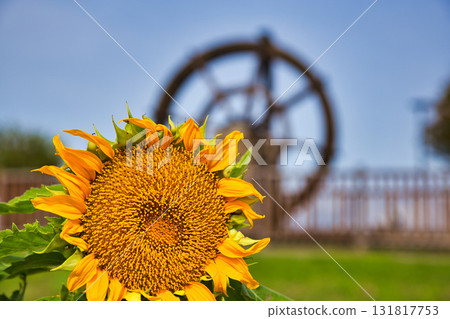 Yuri no Sato Park: Another Autumn 131817753