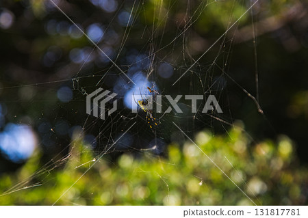 Yuri no Sato Park: Another Autumn 131817781