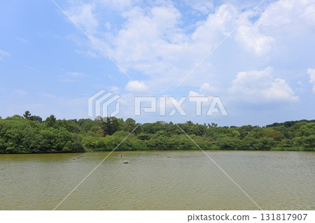大阪府大阪市鶴見綠地花展紀念公園 大阪府大阪市鶴見綠地花展紀念公園 131817907