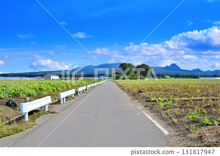 從赤城高原菜地眺望，赤城山，昭和村 131817947