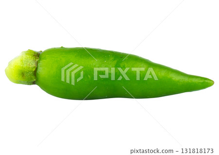 Single fresh green chili pepper on white background 131818173