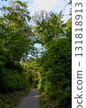 The ancient Kamakura Kaido road surrounded by greenery 131818913
