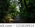 The ancient Kamakura Kaido road surrounded by greenery 131818914