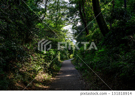 The ancient Kamakura Kaido road surrounded by greenery The ancient Kamakura Kaido road surrounded by greenery 131818914