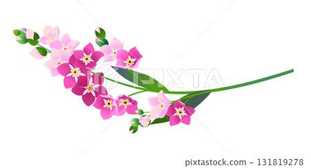 Vintage vector floral element. A branch of pink blooming forget-me-nots. Spring flowers with blue petals. Clipart for wedding designs, Mother's Day, and Valentine's Day cards. Vintage vector floral element. A branch of pink blooming forget-me-nots. Spring flowers with blue petals. Clipart for wedding designs, Mother's Day, and Valentine's Day cards. 131819278