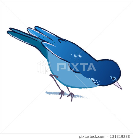 Vector graphics of indigo colored bird on white background. 131819288