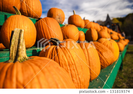 Bright orange pumpkins displayed on green wooden stands under a sunny autumn sky, symbolizing fall harvest and Halloween festivities in the American countryside. 131819374