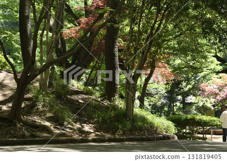 Silkamori no Mori Park 131819405