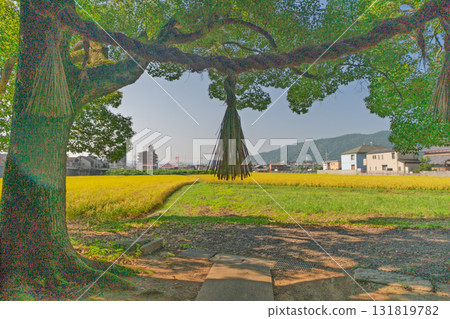 藤越神社坐落在龜岡市的鄉村景色中 131819782