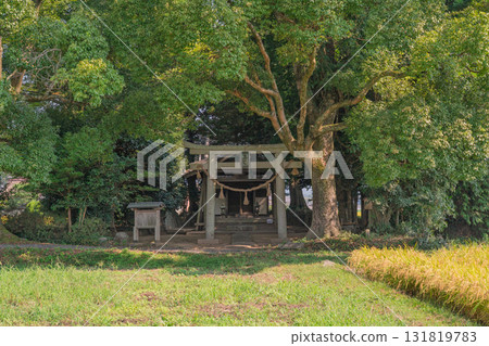 藤越神社坐落在龜岡市的鄉村景色中 131819783