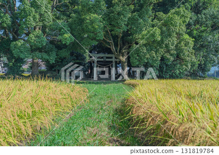 Fujikoshi Shrine nestled in the rural landscape of Kameoka City 131819784