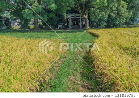Fujikoshi Shrine nestled in the rural landscape of Kameoka City Fujikoshi Shrine nestled in the rural landscape of Kameoka City 131819785