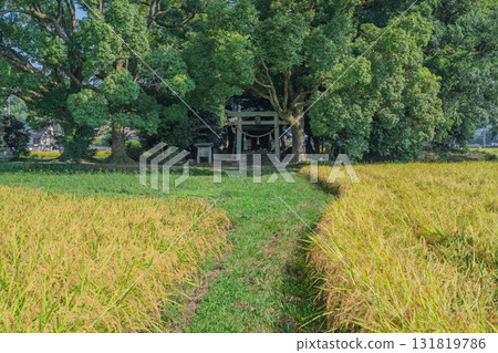 Fujikoshi Shrine nestled in the rural landscape of Kameoka City Fujikoshi Shrine nestled in the rural landscape of Kameoka City 131819786