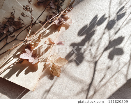 Dried autumn leaves and twigs casting shadows on textured paper with warm earthy tones 131820209