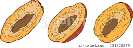 Detailed colored vector art of dates, showcasing dried dates Detailed colored vector art of dates, showcasing dried dates 131820279