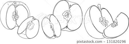 Line apples, perfect for educational or botanical designs, coloring pages. Line apples, perfect for educational or botanical designs, coloring pages. 131820296