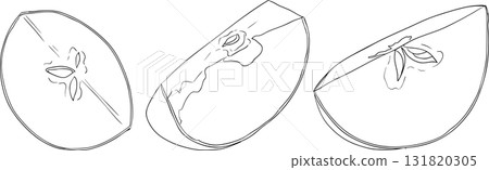 Line apples, perfect for educational or botanical designs, coloring pages. Line apples, perfect for educational or botanical designs, coloring pages. 131820305