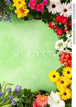 Bright flowers adorn a balcony or terrace, bringing vibrant colors to the space. This spring decoration highlights the joy of nature, inviting warmth and cheer into the environment Bright flowers adorn a balcony or terrace, bringing vibrant colors to the space. This spring decoration highlights the joy of nature, inviting warmth and cheer into the environment 131820386