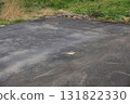 Asphalt, pavement, parking lot, ground, outdoor, grading 131822330