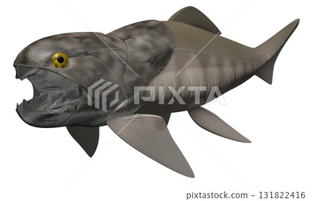 鄧氏魚 鄧氏魚 131822416