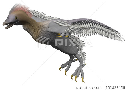 Anchiornis 131822456