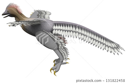 Anchiornis Anchiornis 131822458