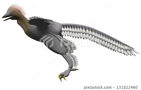 Anchiornis 131822460