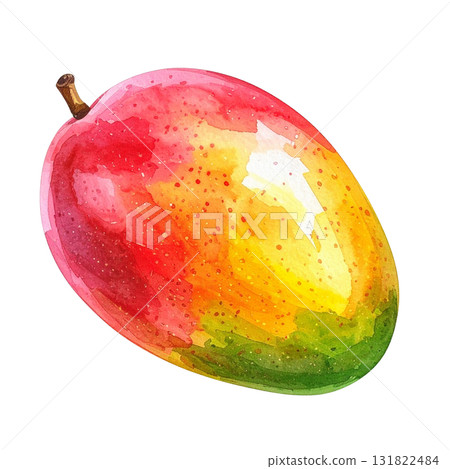 芒果的水彩插圖 芒果的水彩插圖 131822484
