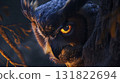 Owl with a sharp line of sight 131822694