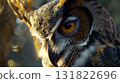 Owl with a sharp line of sight 131822696