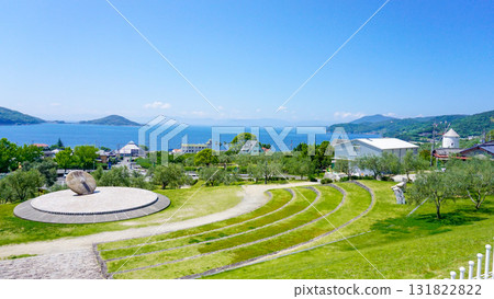 小豆島橄欖樹 小豆島橄欖樹 131822822