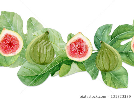 Fig fruits with leaves, green texture watercolor seamless border isolated on white. Hand-painted clipart for organic design, food packaging, seasonal decor, healthy lifestyle projects. Horizontal 131823389