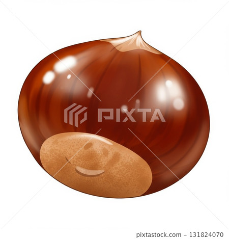 Single Brown Chestnut Illustration on White Background Single Brown Chestnut Illustration on White Background 131824070
