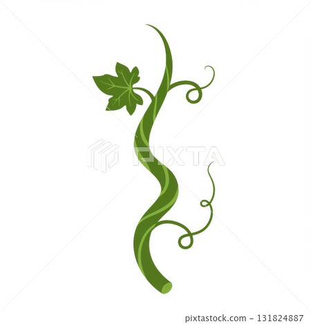 Green Vine with Leaf on White Background 131824887