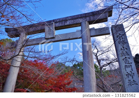 太宰府市:灶門神社參拜道的紅葉 太宰府市:灶門神社參拜道的紅葉 131825562