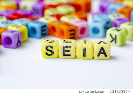 SEIA text on multicolored cube representing Social and Environmental Impact Assessment. Conservation concept. 131825594