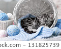 Kitten in a basket with balls of yarn 131825739