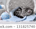 Kitten in a basket with balls of yarn 131825740